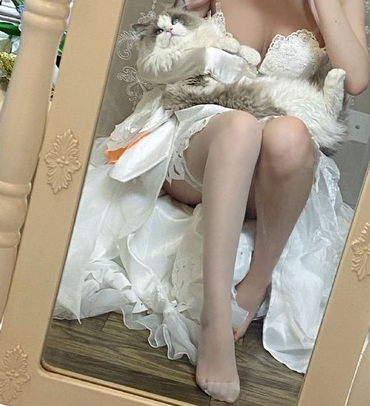 写真福利片hd在线播放